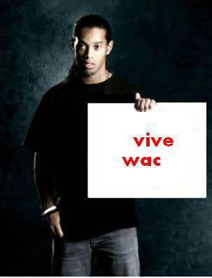 vive wac